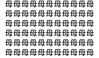 【脳トレ】「母」の中に紛れて1つ違う文字がある！？あなたは何秒で探し出せるかな？？【違う文字を探せ！】
