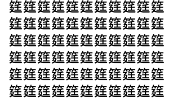 【脳トレ】「筳」の中に紛れて1つ違う文字がある！？あなたは何秒で探し出せるかな？？【違う文字を探せ！】