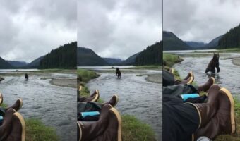 【恐怖映像】川辺でくつろいでいたら・・クマが迫ってきた！？息をひそめる緊迫の時間【アメリカ・動画】