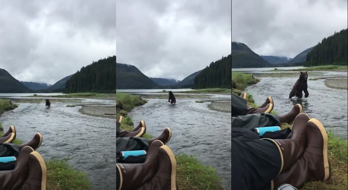 【恐怖映像】川辺でくつろいでいたら・・クマが迫ってきた!?息をひそめる緊迫の時間【アメリカ・動画】