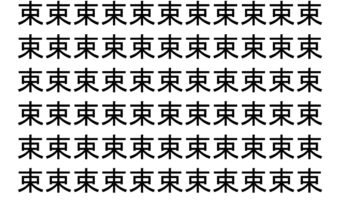【脳トレ】「束」の中に紛れて1つ違う文字がある！？あなたは何秒で探し出せるかな？？【違う文字を探せ！】