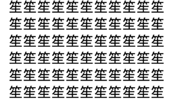 【脳トレ】「笙」の中に紛れて1つ違う文字がある！？あなたは何秒で探し出せるかな？？【違う文字を探せ！】