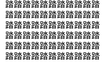 【脳トレ】「踏」の中に紛れて1つ違う文字がある！？あなたは何秒で探し出せるかな？？【違う文字を探せ！】
