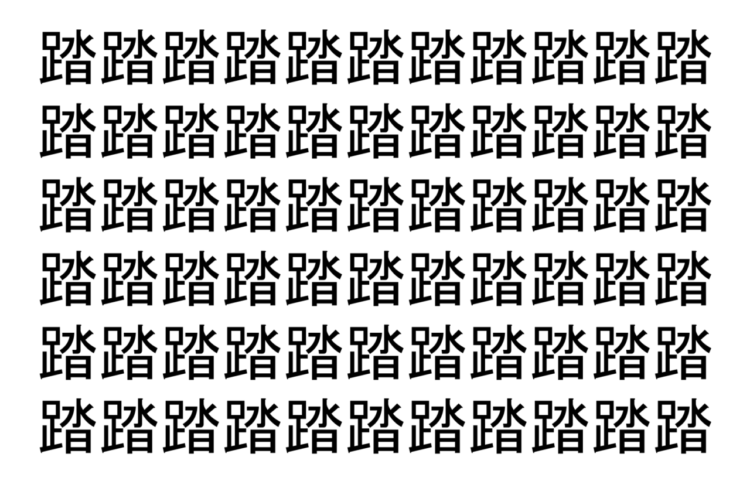 【脳トレ】「踏」の中に紛れて1つ違う文字がある！？あなたは何秒で探し出せるかな？？【違う文字を探せ！】