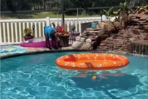 タイミングと距離を見計らって・・イヌがプールフロートに飛び移った！！【アメリカ・動画】