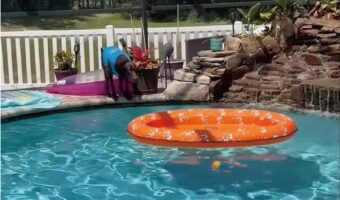 タイミングと距離を見計らって・・イヌがプールフロートに飛び移った！！【アメリカ・動画】