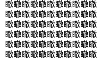 【脳トレ】「瞮」の中に紛れて1つ違う文字がある！？あなたは何秒で探し出せるかな？？【違う文字を探せ！】