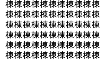 【脳トレ】「棟」の中に紛れて1つ違う文字がある！？あなたは何秒で探し出せるかな？？【違う文字を探せ！】