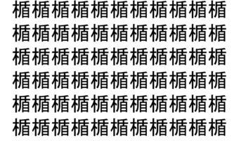 【脳トレ】「楯」の中に紛れて1つ違う文字がある！？あなたは何秒で探し出せるかな？？【違う文字を探せ！】
