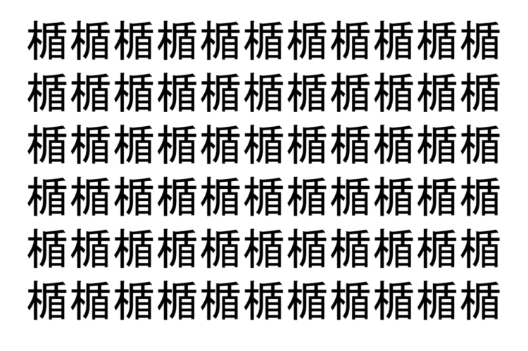 【脳トレ】「楯」の中に紛れて1つ違う文字がある！？あなたは何秒で探し出せるかな？？【違う文字を探せ！】