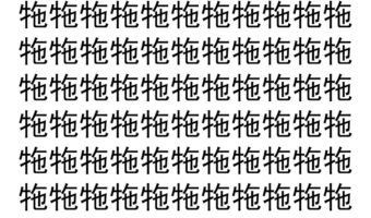 【脳トレ】「㸱」の中に紛れて1つ違う文字がある！？あなたは何秒で探し出せるかな？？【違う文字を探せ！】