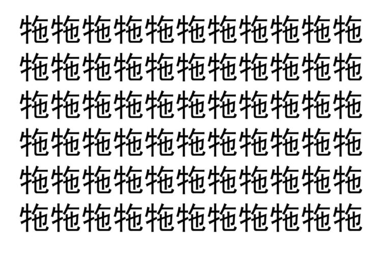 【脳トレ】「㸱」の中に紛れて1つ違う文字がある！？あなたは何秒で探し出せるかな？？【違う文字を探せ！】