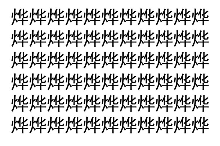 【脳トレ】「烨」の中に紛れて1つ違う文字がある！？あなたは何秒で探し出せるかな？？【違う文字を探せ！】