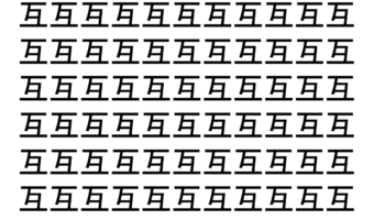 【脳トレ】「互」の中に紛れて1つ違う文字がある！？あなたは何秒で探し出せるかな？？【違う文字を探せ！】