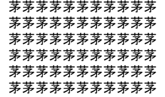 【脳トレ】「茅」の中に紛れて1つ違う文字がある！？あなたは何秒で探し出せるかな？？【違う文字を探せ！】