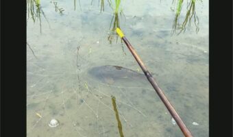 カンペキな罠！？魚を捕まえたと思ったら・・まさかのオチが！！【海外・動画】