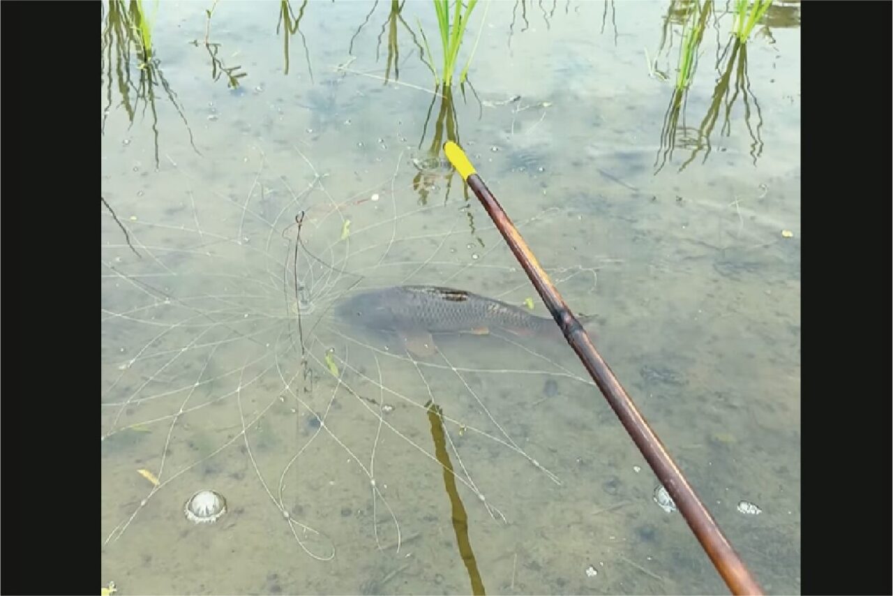 カンペキな罠!?魚を捕まえたと思ったら・・まさかのオチが!!【海外・動画】