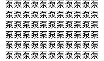 【脳トレ】「泵」の中に紛れて1つ違う文字がある！？あなたは何秒で探し出せるかな？？【違う文字を探せ！】