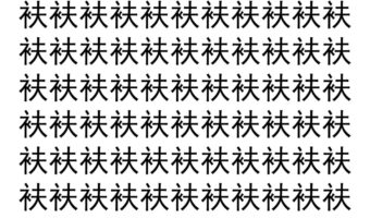 【脳トレ】「衭」の中に紛れて1つ違う文字がある！？あなたは何秒で探し出せるかな？？【違う文字を探せ！】