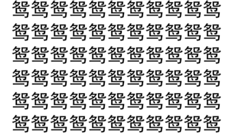 【脳トレ】「鸳」の中に紛れて1つ違う文字がある！？あなたは何秒で探し出せるかな？？【違う文字を探せ！】