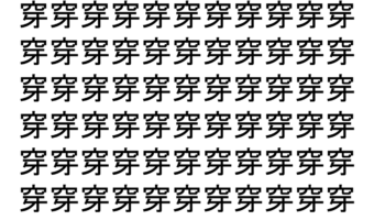 【脳トレ】「穿」の中に紛れて1つ違う文字がある！？あなたは何秒で探し出せるかな？？【違う文字を探せ！】