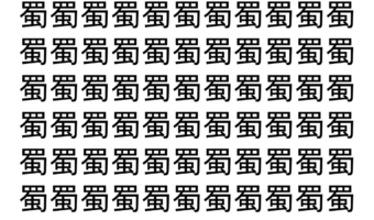 【脳トレ】「蜀」の中に紛れて1つ違う文字がある！？あなたは何秒で探し出せるかな？？【違う文字を探せ！】