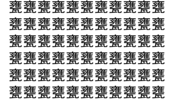 【脳トレ】「甕」の中に紛れて1つ違う文字がある！？あなたは何秒で探し出せるかな？？【違う文字を探せ！】