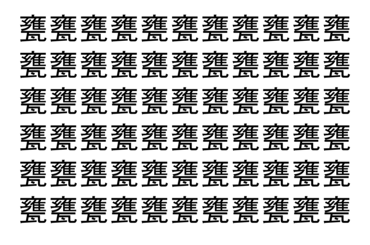 【脳トレ】「甕」の中に紛れて1つ違う文字がある！？あなたは何秒で探し出せるかな？？【違う文字を探せ！】