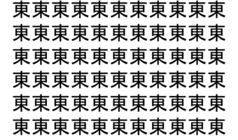 【脳トレ】「東」の中に紛れて1つ違う文字がある！？あなたは何秒で探し出せるかな？？【違う文字を探せ！】