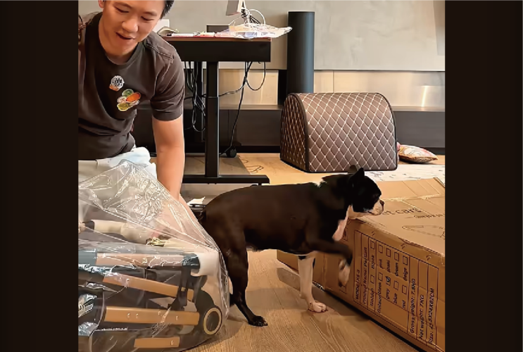 開封動画を撮っている場合じゃない！？空き箱に乗った子犬のあんよがプルプルプル！！【海外・動画】