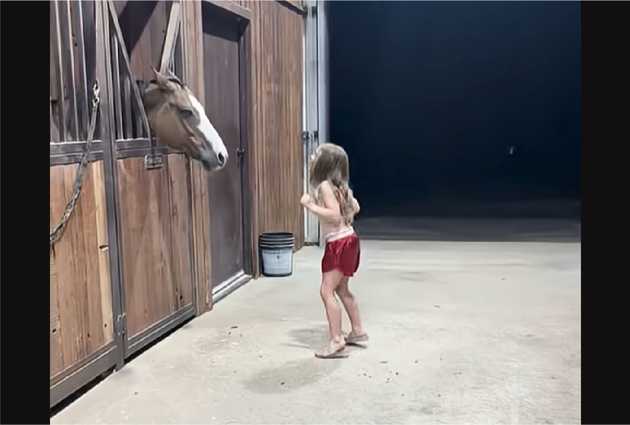 ふたりはノリノリ！縦ノリする女の子と、横揺れするウマ【アメリカ・動画】